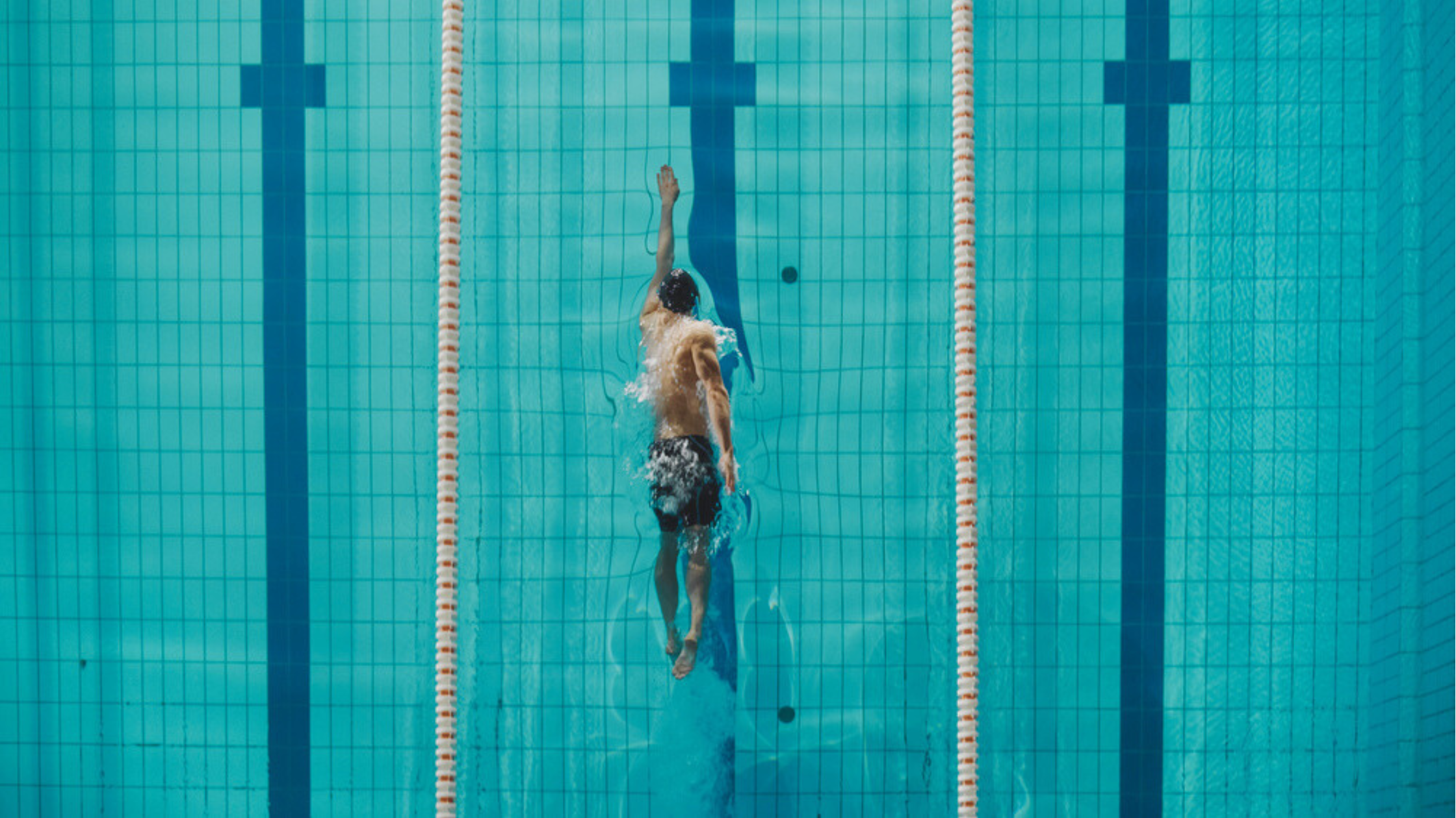 VO2 Max: The #1 Predictor of Lifespan