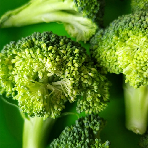 Broccoli Seed Extract (10% glucoraphanin)