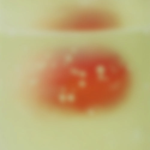 Hyaluronic Acid